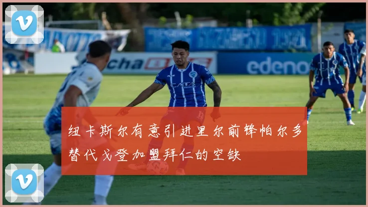 纽卡斯尔有意引进里尔前锋帕尔多替代戈登加盟拜仁的空缺